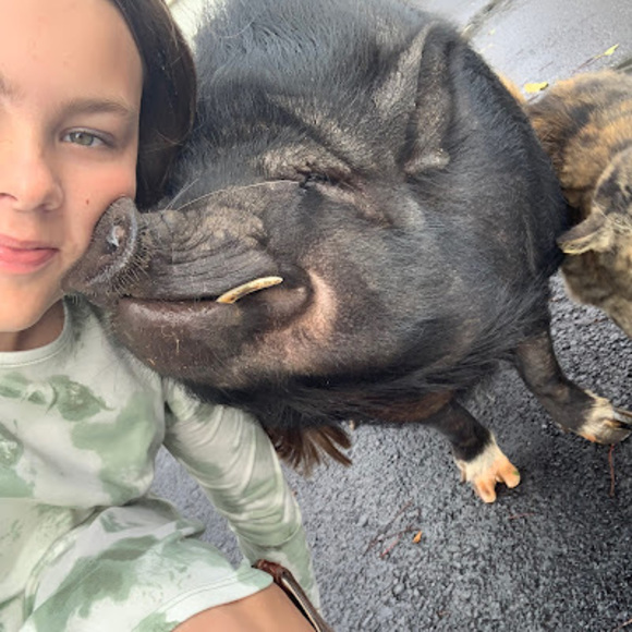 Meet your Posher, Addison - Picture 1 of 1